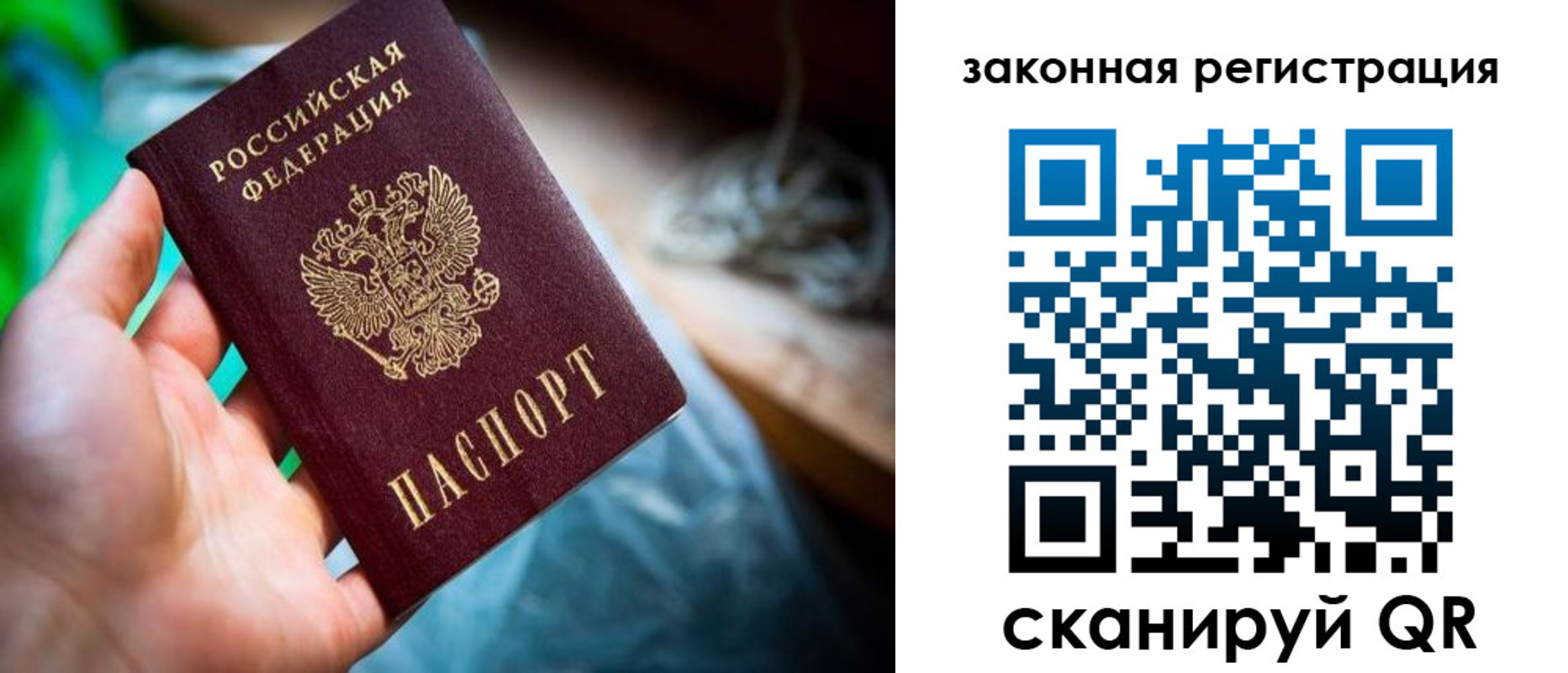 прописка в Александровске-Сахалинском
